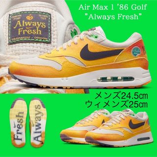 ナイキ(NIKE)の【新品】Nike Air Max1 Golf "Always Fresh"(シューズ)