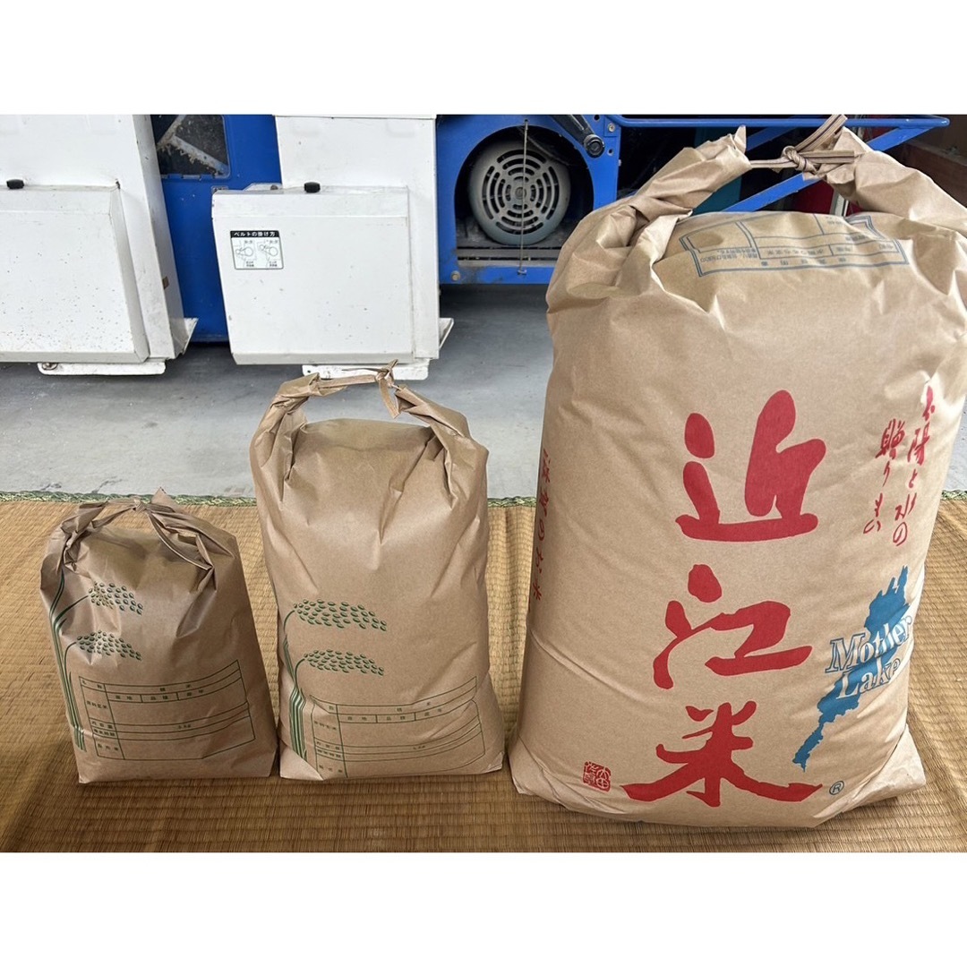 滋賀県産　白米30kg　令和5年産　コシヒカリ100%　近江米　新米　産地
