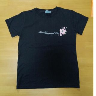 ピコ(PIKO)の美品　PIKOハワイアン　ロングボードウェア　Tシャツ(Tシャツ(半袖/袖なし))