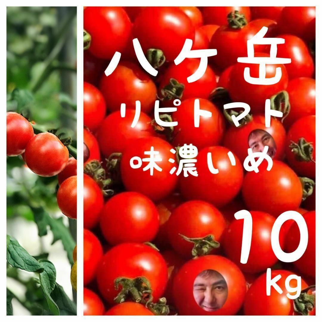 八ヶ岳産 行列ありがとまと 約10kg バラ 味が濃いめ 農薬肥料薄め