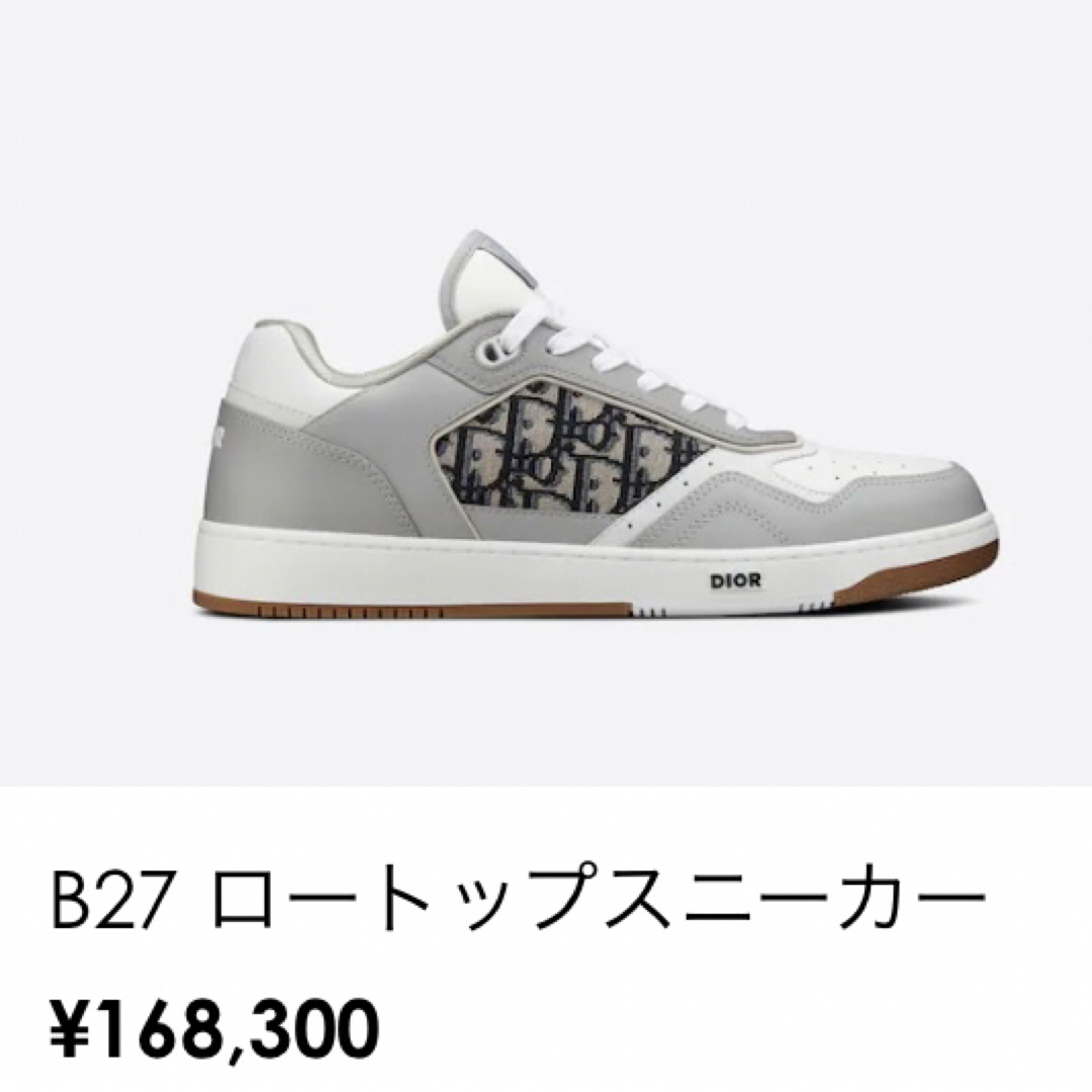 Dior B27 Low Top Sneaker Dior  "Grey"27㌢