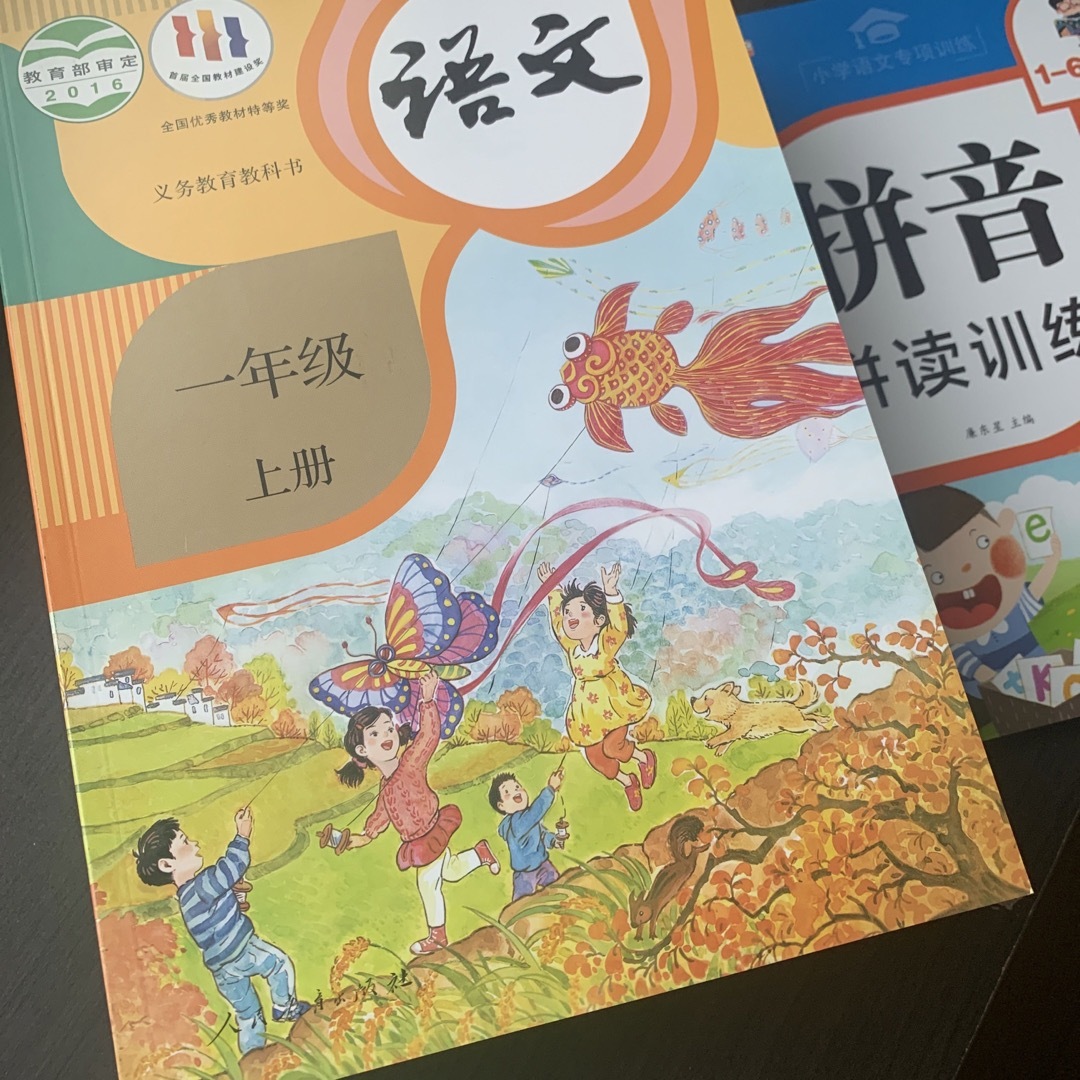 中国小学校教科書語文1～6年級12册+拼音拼读训练中国語-