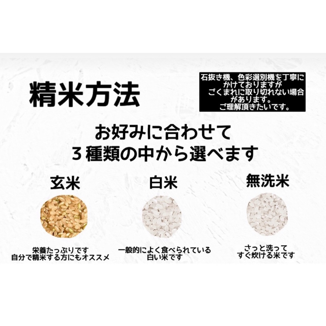 by　5kgの通販　無洗米　ゆめぴりか　北海道米　新米】令和5年産　doumaiさんのお米屋さん｜ラクマ