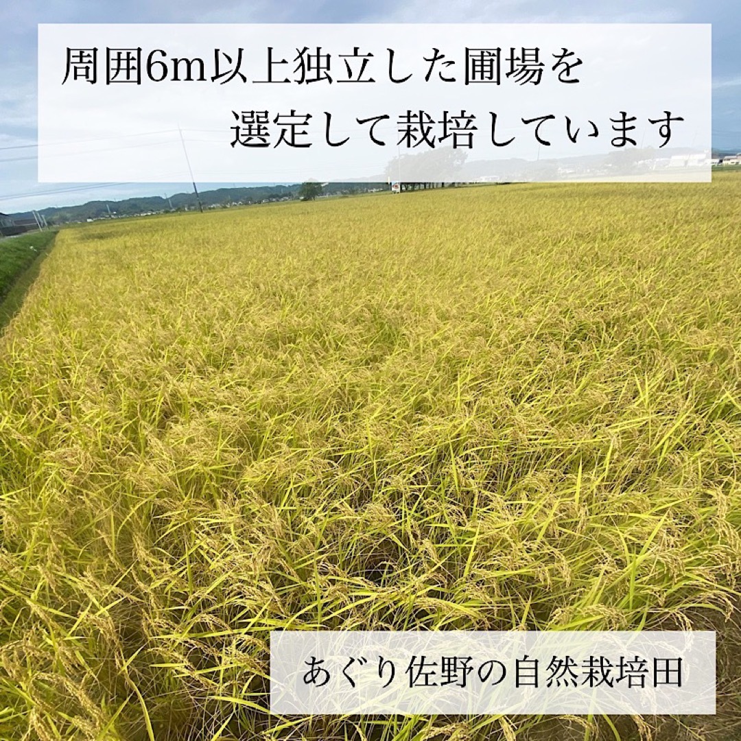 令和5年新米 自然栽培米 玄米10kg 農薬不使用・肥料不使用 コシヒカリ