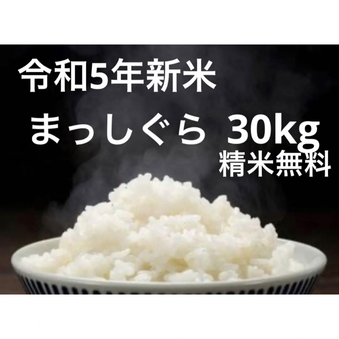 【令和5年新米】まっしぐら 30kg 青森米 精米無料 桜米 | フリマアプリ ラクマ