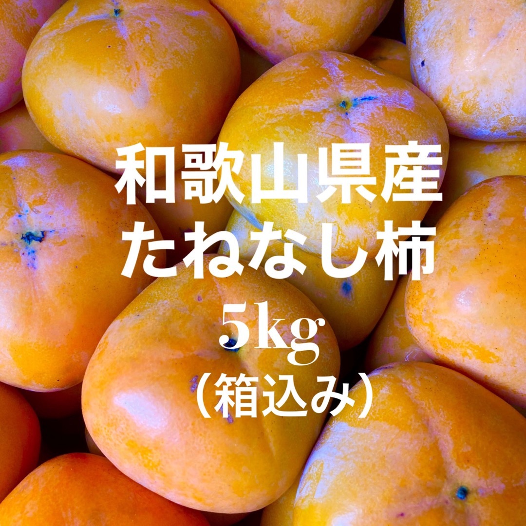 和歌山県産 約5kg たねなし柿 中谷早生柿 ご家庭用 食品/飲料/酒の食品(フルーツ)の商品写真