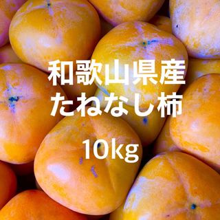 和歌山県産 約10kg たねなし柿 中谷早生柿 ご家庭用(フルーツ)