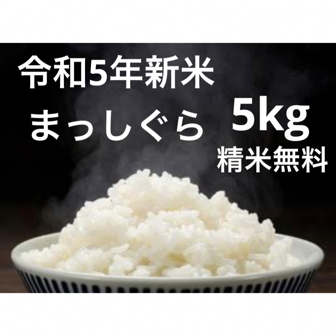 【令和5年新米】まっしぐら　5kg 青森米　桜 食品/飲料/酒の食品(米/穀物)の商品写真