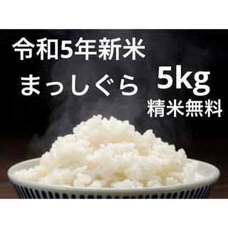 【令和5年新米】まっしぐら　5kg 青森米　桜(米/穀物)