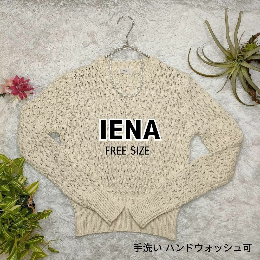 IENA イエナ ニット・セーター F 白