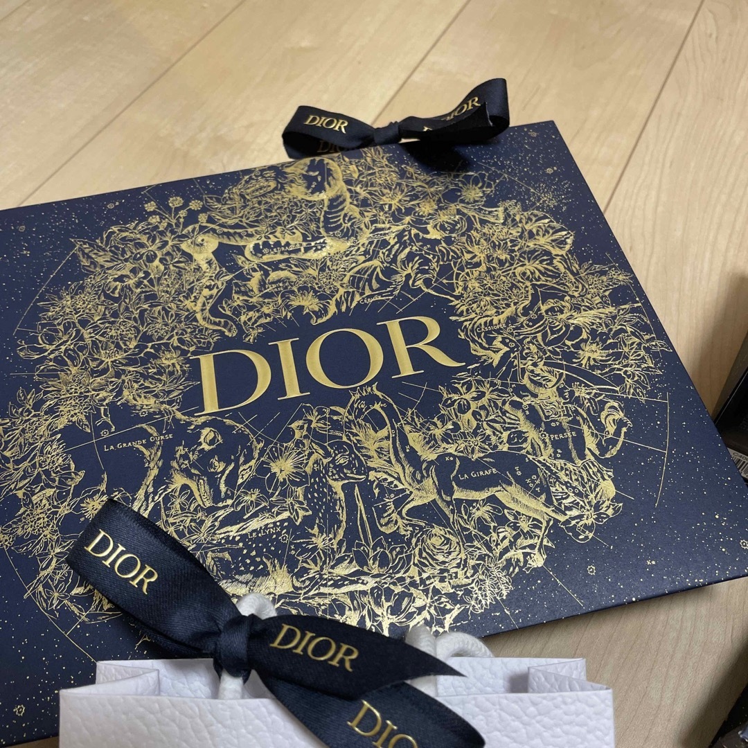 Dior(ディオール)の【送料無料匿名配送✨】ディオール ショッパーセット　ボックス付　Dior レディースのバッグ(ショップ袋)の商品写真