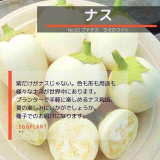 ゆうパケット　ナス☆プチナス　ラオホワイト☆種子15粒(その他)