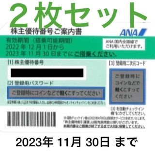 エーエヌエー(ゼンニッポンクウユ)(ANA(全日本空輸))のANA(全日空)株主優待券2枚セット(その他)