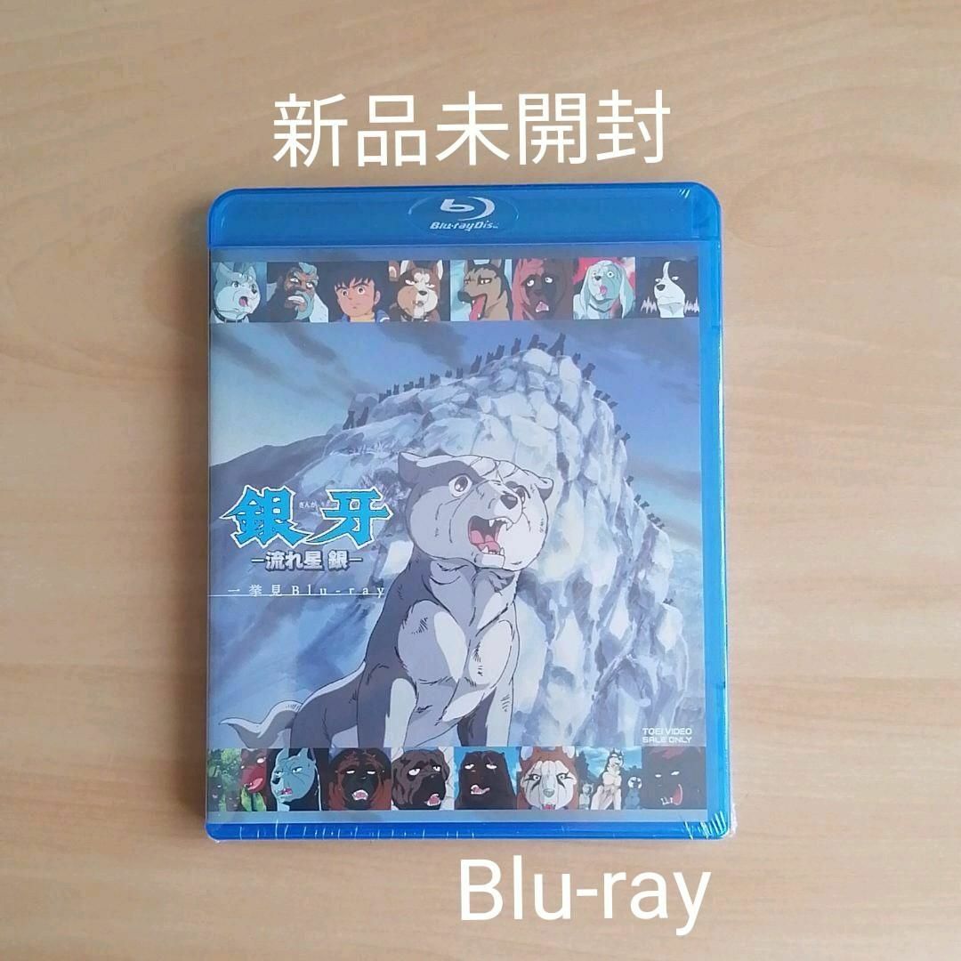 ケース付 銀牙-流れ星 銀-DVD  全4巻 全巻セット 送料無料 / 匿名配送