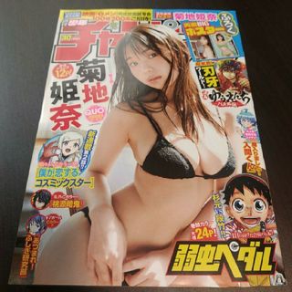 アキタショテン(秋田書店)の菊池姫奈 両面ポスター付き  週刊少年チャンピオン  30号   応募券無(少年漫画)