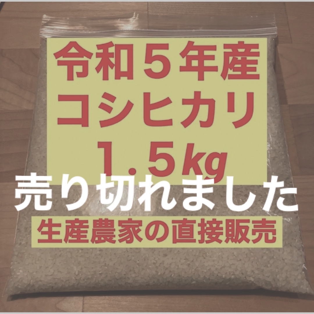 令和5年度  山口県産  コシヒカリ  新米  15㎏食品/飲料/酒