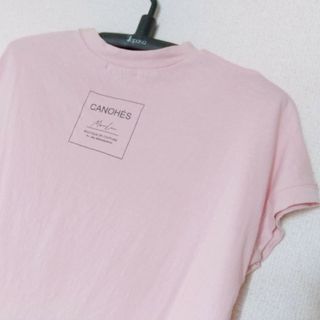 綿100% クルーネック 半袖Tシャツ /バックロゴ レディース M(Tシャツ(半袖/袖なし))