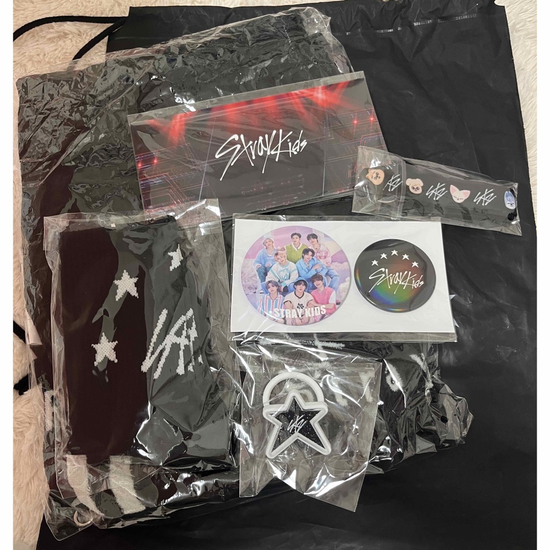 Stray kids 5star Dome tour アップグレード席 グッズ - アイドルグッズ