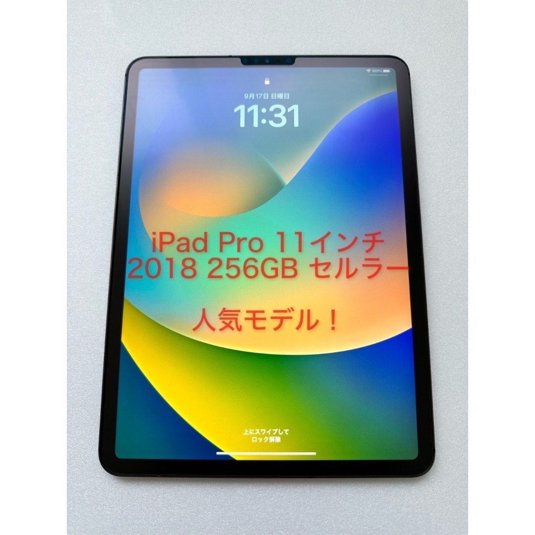 iPad pro 2018(11インチ)256GB Wi-Fiモデル - タブレット