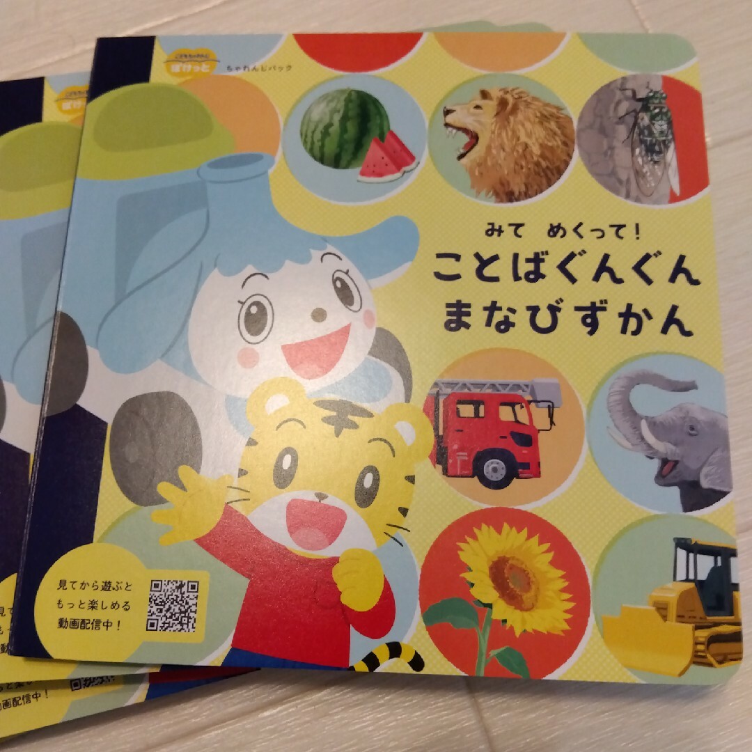 こどもチャレンジ　ミスド　マクドナルド　アニアシールブック　DVD　教材 キッズ/ベビー/マタニティのおもちゃ(知育玩具)の商品写真