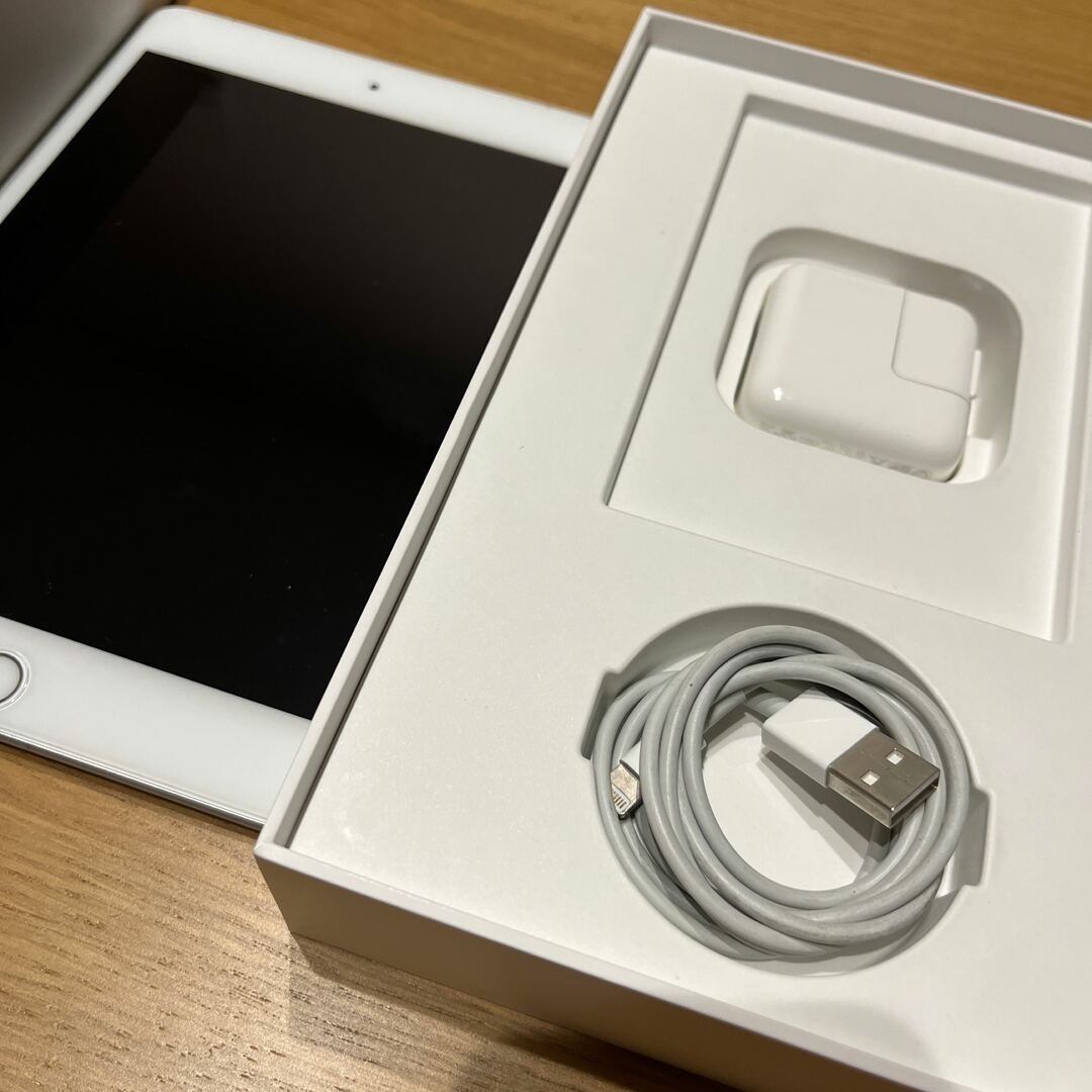 超美品iPad mini 256GB Cellular SIMフリー　シムフリー