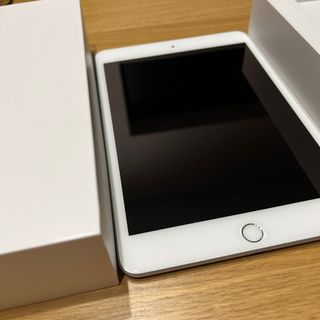 超美品iPad mini 256GB Cellular SIMフリー　シムフリー