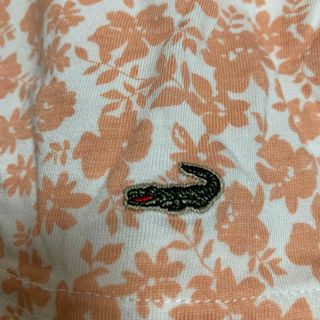 クロコダイル(Crocodile)の新品　クロコダイル長袖Tシャツ(Tシャツ(長袖/七分))