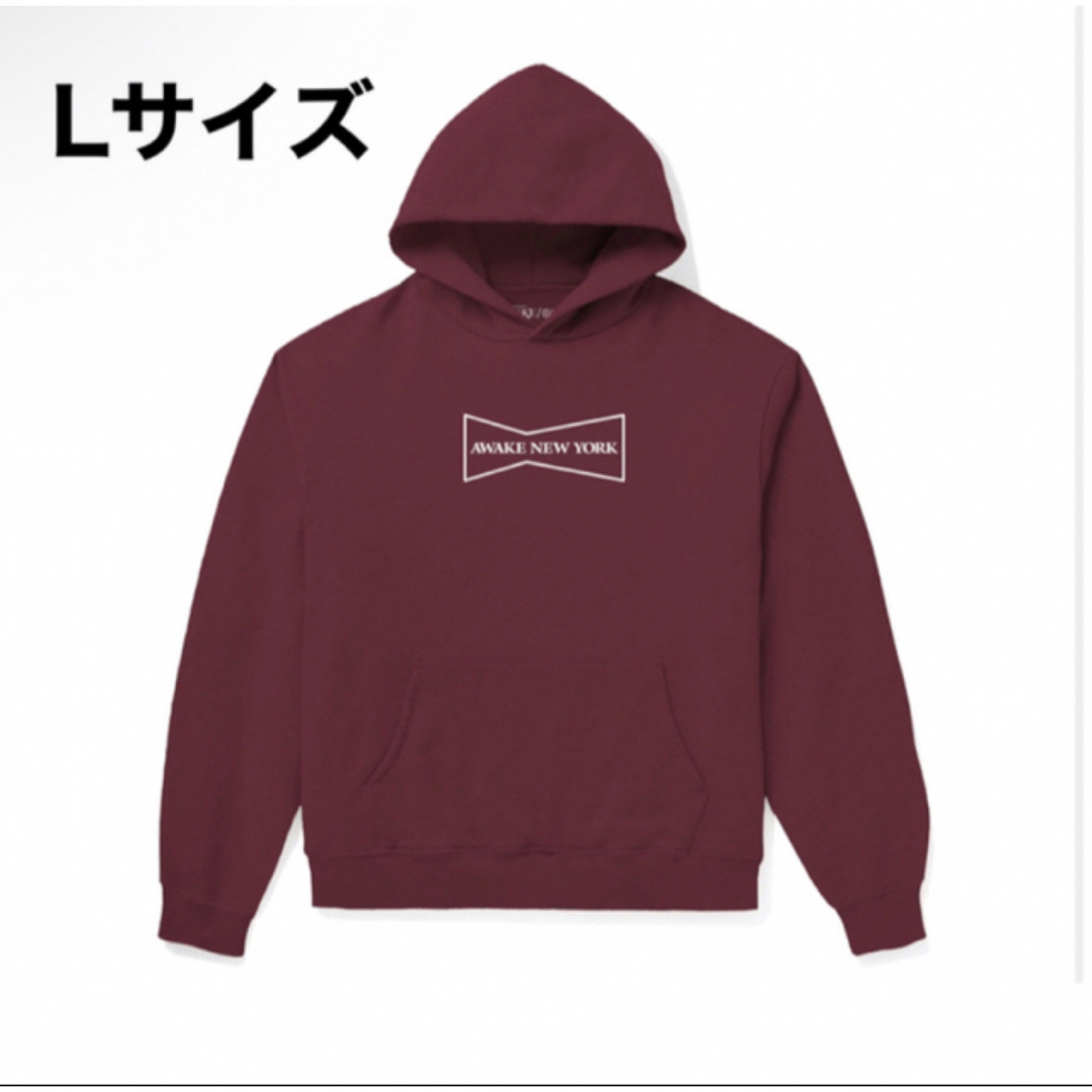 Girls Don't Cry(ガールズドントクライ)のAwake NY × Wasted Youth Hoodie Lサイズ メンズのトップス(パーカー)の商品写真