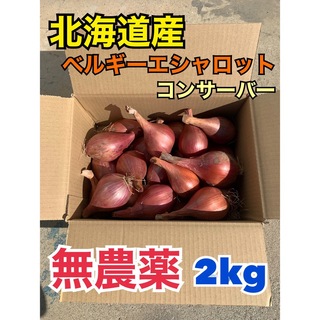 北海道産　無農薬　ベルギーエシャロット　コンサーバー　正品2kg(野菜)