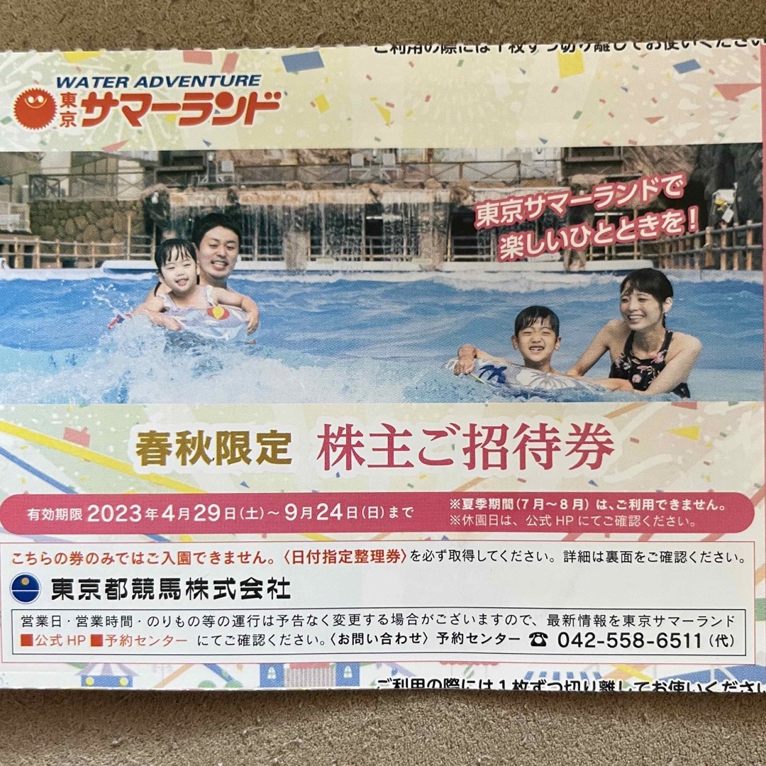 東京サマーランド 株主ご招待券 1Dayパス 2枚セットの通販 by es0119's