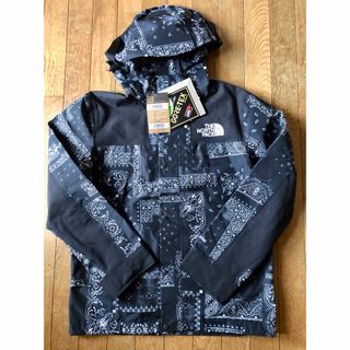 レア☆THE NORTH FACE☆ ペイズリー マウンテンジャケット 2XL