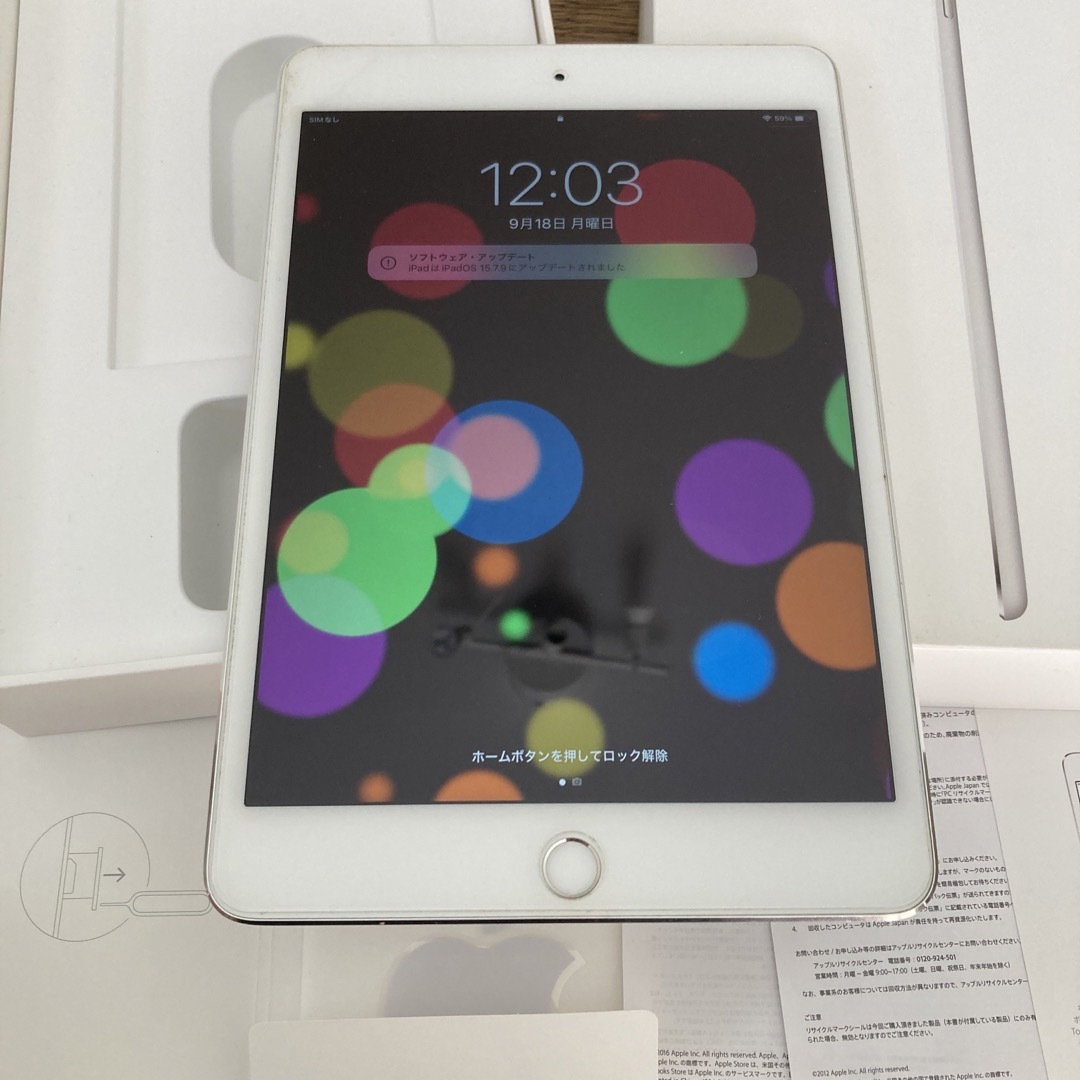 iPad mini4 128GB Wi-Fi+Cellular 極美品