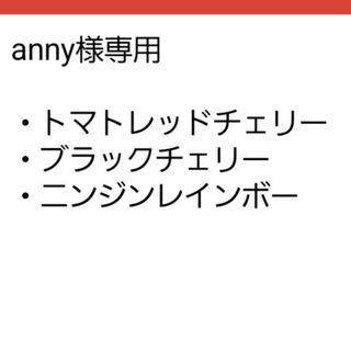 anny様専用(その他)