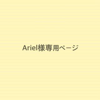 Ariel様専用ページ(その他)