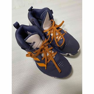 アディダス(adidas)のアディダス　24.5 ジュニアバスケットシューズ バッシュ (バスケットボール)