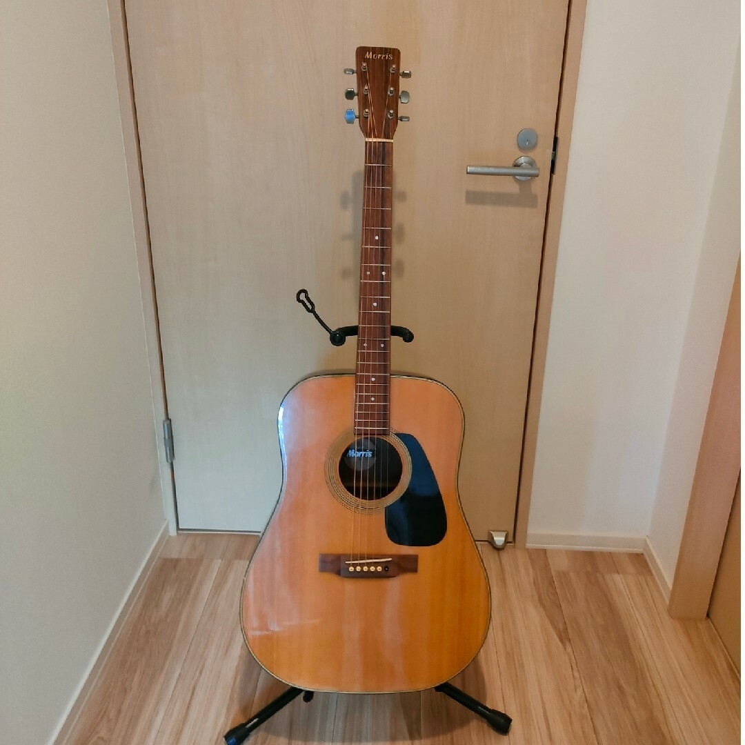 Morris アコースティックギター md-502