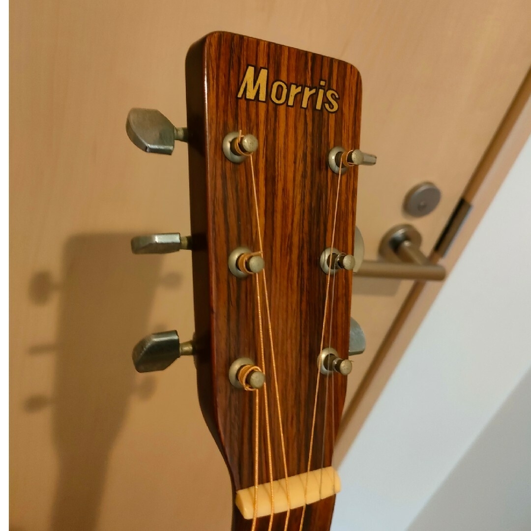 Morris モーリス MD-502 アコースティックギター