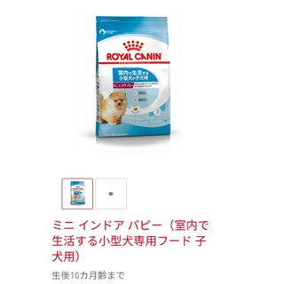 ロイヤルカナン(ROYAL CANIN)のドッグフード　ロイヤルカナン　ミニインドアパピー(ペットフード)