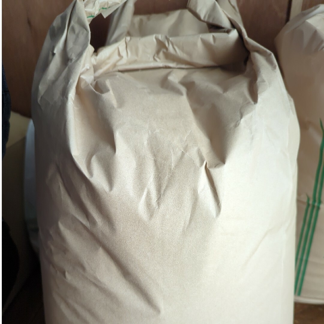 新米玄米３０キロ令和５年食品