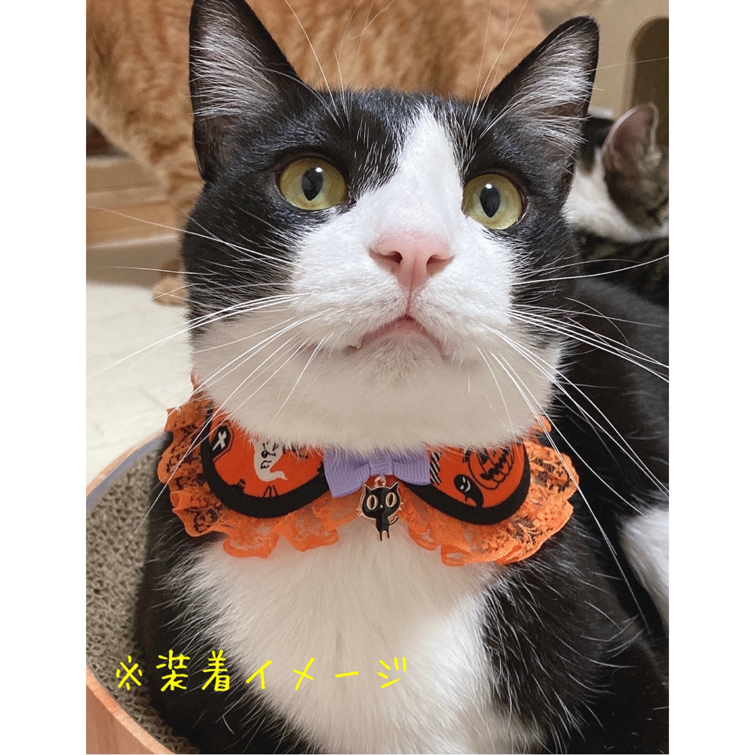 えり付き首輪(ハロウィン B) 猫 首輪 セーフティバックル ハロウィン ハンドメイドのペット(リード/首輪)の商品写真