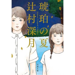 琥珀の夏(文学/小説)