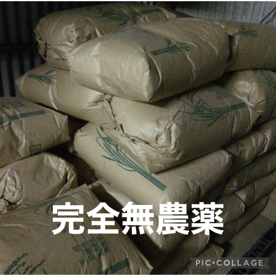 79%以上節約 コシヒカリ 新米 玄米 数量限定 農薬不使用 国産 無添加 2kg 農家直送 米 79%以上節約 コシヒカリ 新米 玄米 数量限定 農薬不使用 国産 無添加 2kg 農家直送 米
