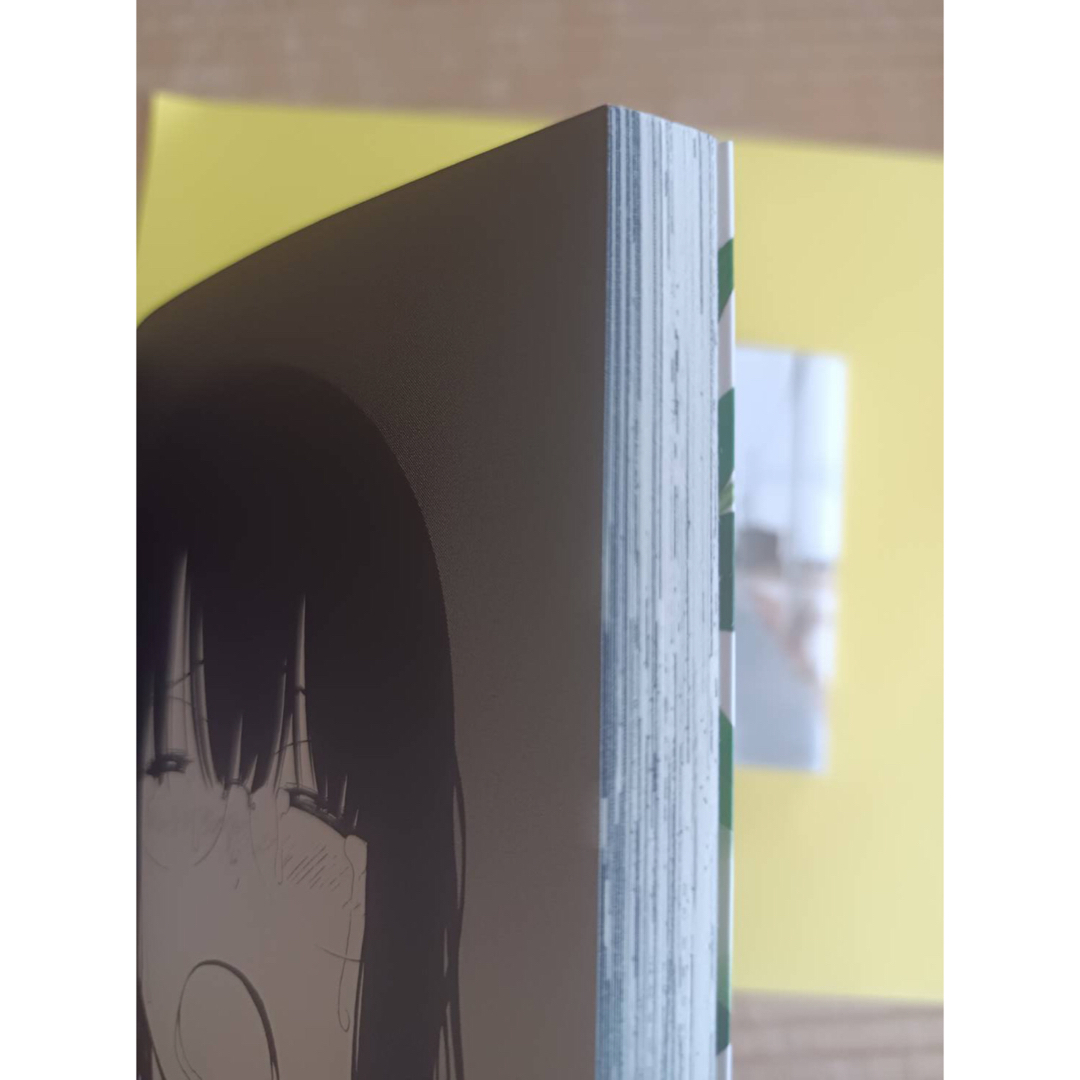 透明人間の骨1〜4巻セット② 全巻完結 エンタメ/ホビーの漫画(青年漫画)の商品写真
