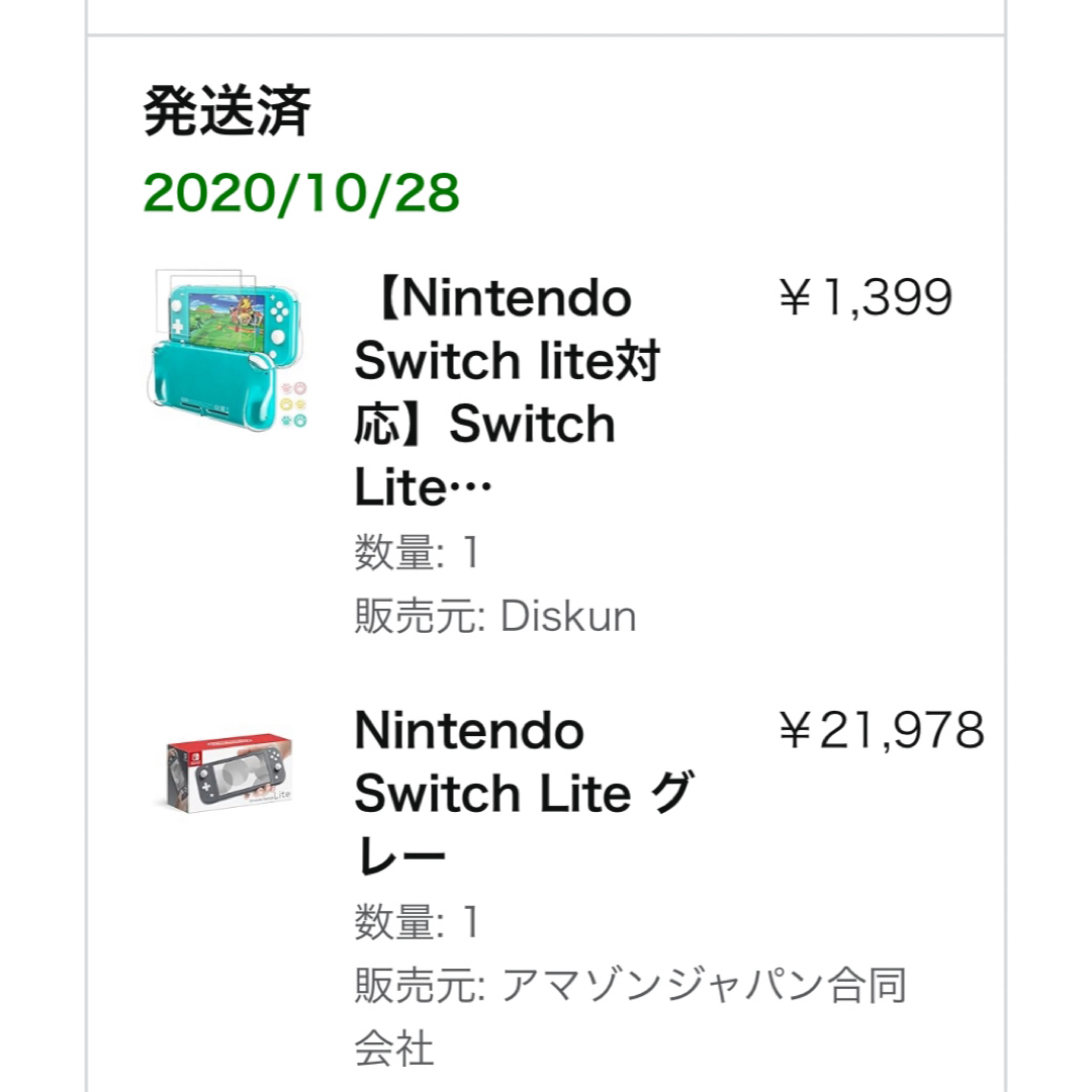 Nintendo Switch Liteグレー 7