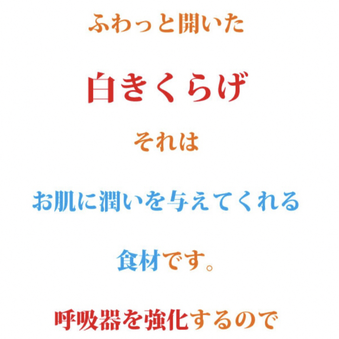 白きくらげ(戻すと3倍以上に膨れます！スープ、サラダ、春巻きの具にも) 食品/飲料/酒の加工食品(乾物)の商品写真