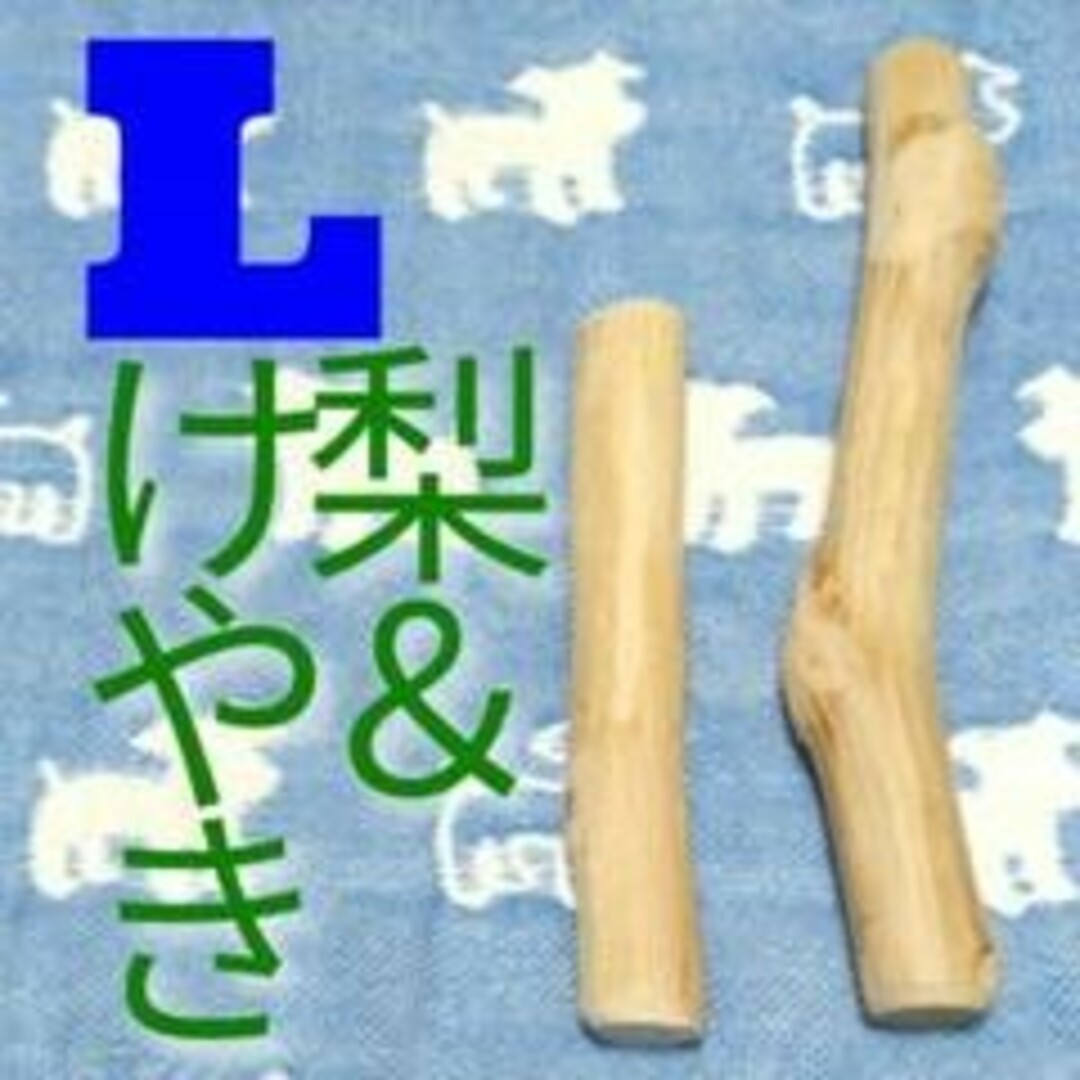 L.けやき梨の木新品.犬用おもちゃ、超小型犬向け歯固めかじり木 | フリマアプリ ラクマ