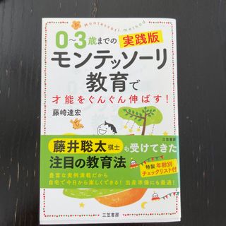 ０～３歳までの実践版モンテッソーリ教育で才能をぐんぐん伸ばす！ 写真とイラストで(結婚/出産/子育て)