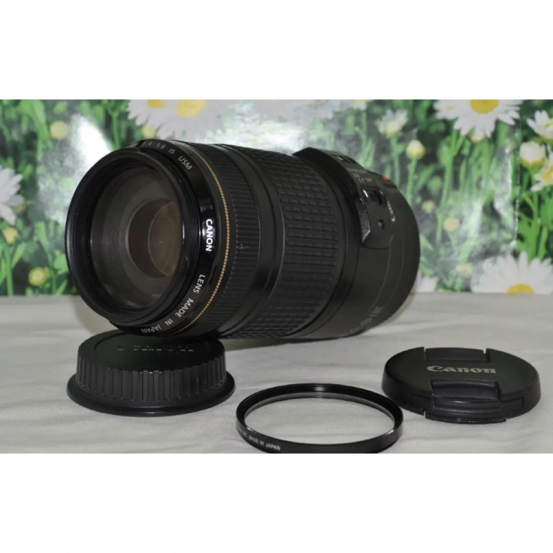 SIGMA DG 70-300mm 1:4-5.6 カメラ レンズフード付き