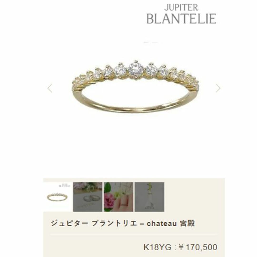 ジュピター ブラントリエ K18 ダイヤ エタニティ リング 定価17万