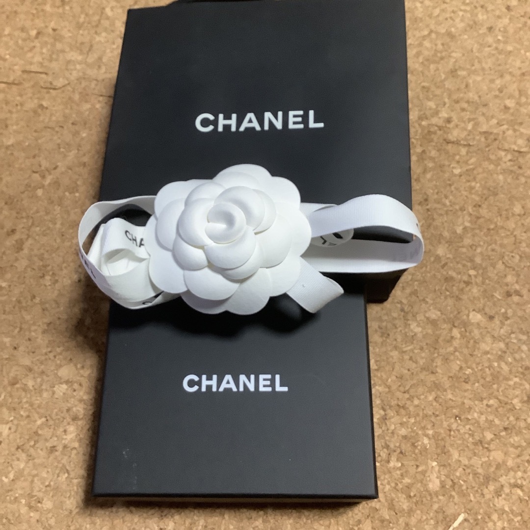CHANEL - CHANEL ココマーク ロングネックレス ゴールド 付属品 CHANEL - CHANEL ココマーク ロングネックレス ゴールド 付属品